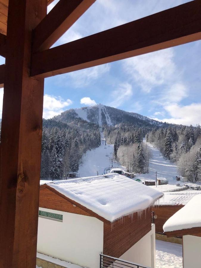 Chalet Kokhta Bakuriani Eksteriør billede