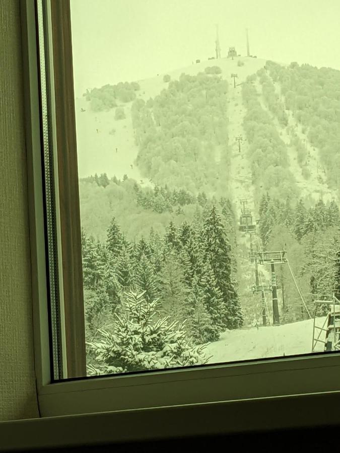 Chalet Kokhta Bakuriani Eksteriør billede
