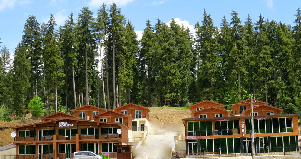 Chalet Kokhta Bakuriani Eksteriør billede