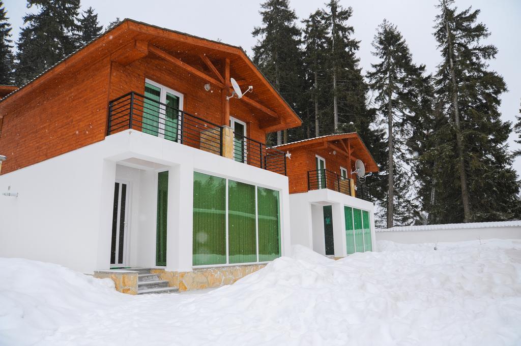Chalet Kokhta Bakuriani Eksteriør billede