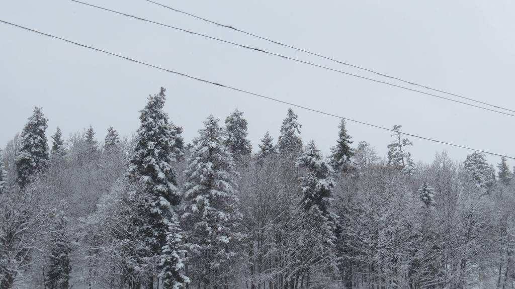 Chalet Kokhta Bakuriani Eksteriør billede